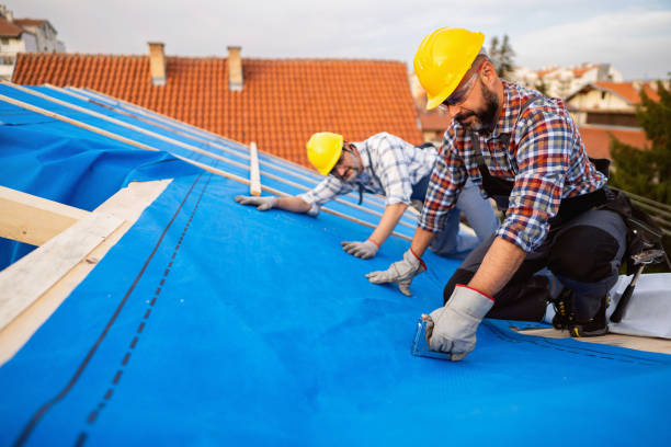 Best Sheet Metal Roofing  in Cadillac, MI